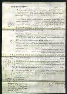 Court of Common Pleas - Mary Ann Potter-Original Ancestry