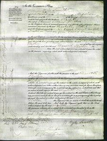 Court of Common Pleas - Elizabeth Flather-Original Ancestry