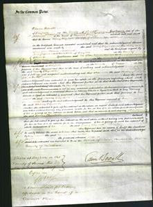 Court of Common Pleas - Mary Elizabeth Williams-Original Ancestry