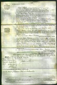 Court of Common Pleas - Selina Eleanora Johnston-Original Ancestry