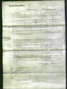 Court of Common Pleas - Frances Smith-Original Ancestry