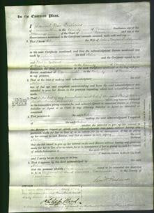 Court of Common Pleas - Helen Puddicombe-Original Ancestry