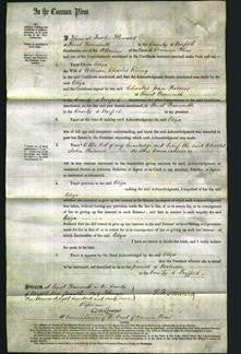 Court of Common Pleas - Eliza Rising-Original Ancestry