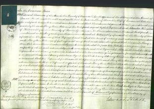 Court of Common Pleas - Mary Ann Cole-Original Ancestry