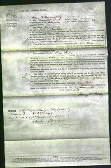 Court of Common Pleas - Ann Vardy-Original Ancestry