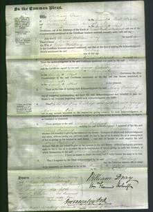 Court of Common Pleas - Mary Patching-Original Ancestry