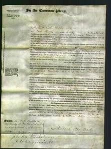 Court of Common Pleas - Isabella Brown-Original Ancestry