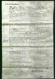 Court of Common Pleas - Jane Tarr-Original Ancestry