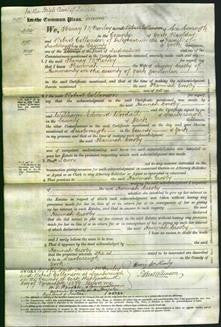 Court of Common Pleas - Hannah Crosby-Original Ancestry