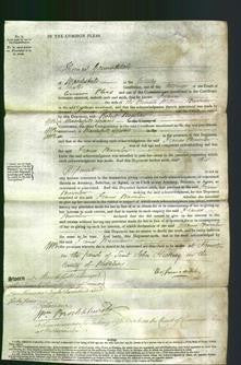 Court of Common Pleas - Frances Brownlow-Original Ancestry