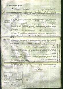 Court of Common Pleas - Elizabeth Rae-Original Ancestry