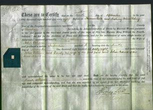 Deed by Married Women - Emily Allison-Original Ancestry