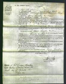 Court of Common Pleas - Annie Lucretia Wallace-Original Ancestry