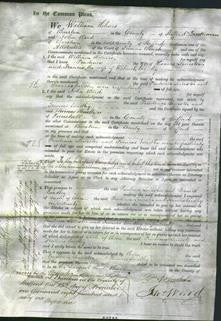 Court of Common Pleas - Prudence Leicester-Original Ancestry