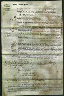 Court of Common Pleas - Emma Chamberlaine, Sarah Ann Smith-Original Ancestry