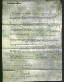 Court of Common Pleas - Elizabeth Waddams-Original Ancestry