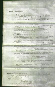 Court of Common Pleas - Mary Hitchen-Original Ancestry