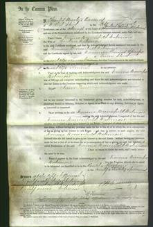 Court of Common Pleas - Emma Brownfield Bateman-Original Ancestry