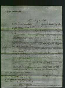 Court of Common Pleas - Mary Catherine Wood-Original Ancestry