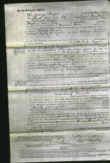 Court of Common Pleas - Emily Edington-Original Ancestry