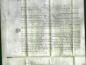 Court of Common Pleas - Esther Pecker Higson-Original Ancestry