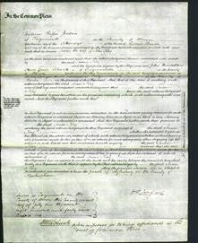 Court of Common Pleas - Susan Kay-Original Ancestry