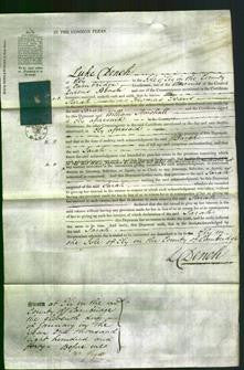 Court of Common Pleas - Sarah Evans-Original Ancestry