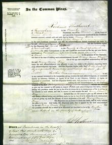 Court of Common Pleas - Mary Ann Ray-Original Ancestry