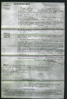 Court of Common Pleas - Hannah Broad-Original Ancestry