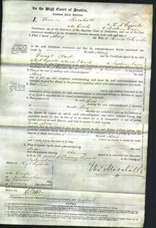 Court of Common Pleas - Mary Glenister-Original Ancestry