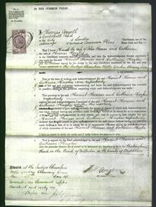 Court of Common Pleas - Harriet Thomas-Original Ancestry