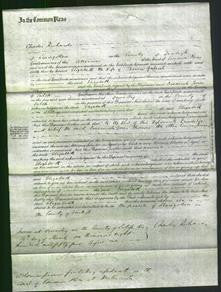 Court of Common Pleas - Elizabeth Gabriel-Original Ancestry