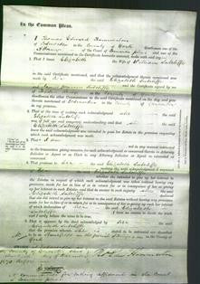 Court of Common Pleas - Elizabeth Sutcliffe