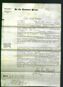 Court of Common Pleas - Catherine Elizabeth Arnold-Original Ancestry