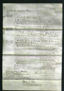 Court of Common Pleas - Elizabeth Syndercombe Bower-Original Ancestry