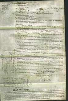 Court of Common Pleas - Margaret Evans-Original Ancestry