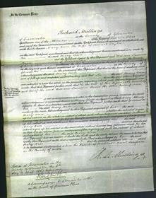 Court of Common Pleas - Mary Ann Taylor-Original Ancestry