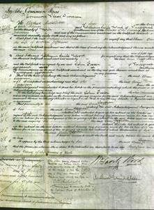 Court of Common Pleas - Ann Jefferson-Original Ancestry