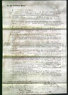 Court of Common Pleas - Mary Ann Wingfield, Emma Biggin and Ida Hibbert-Original Ancestry