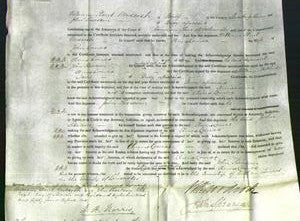 Court of Common Pleas - Anne Lomax-Original Ancestry