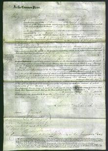 Court of Common Pleas - Ann Havens-Original Ancestry