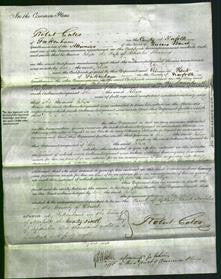Court of Common Pleas - Eliza Sherring-Original Ancestry