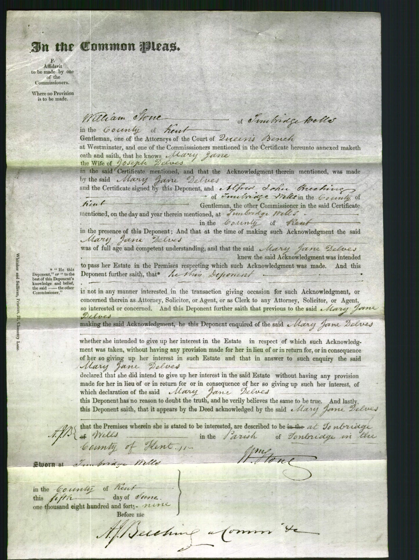 Court of Common Pleas - Mary Jane Delves-Original Ancestry