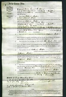 Court of Common Pleas - Catherine Hooper-Original Ancestry