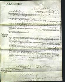 Court of Common Pleas - Margery Hall-Original Ancestry