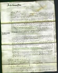 Court of Common Pleas - Grace Fullward-Original Ancestry