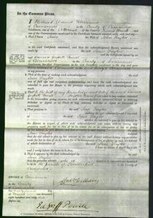 Court of Common Pleas - Jane Taylor-Original Ancestry