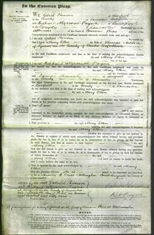 Court of Common Pleas - Mary Ellen Ashton-Original Ancestry