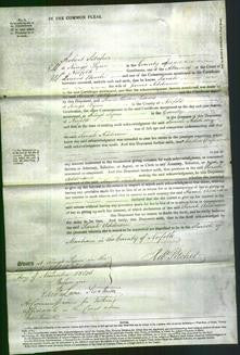 Court of Common Pleas - Sarah Adderson-Original Ancestry