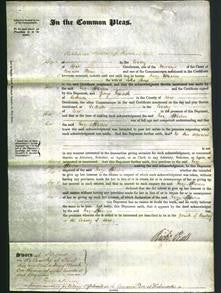 Court of Common Pleas - Ann Waiton Stone-Original Ancestry